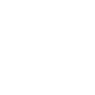 Prize Icon